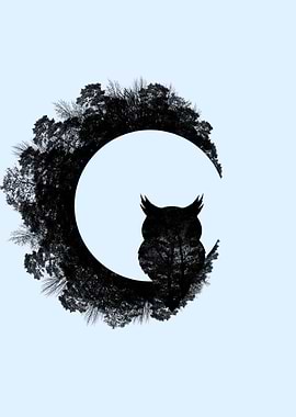 the Owl and forest