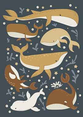 Whales