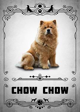 Chow Chow
