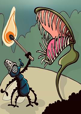 the fly and the opponent