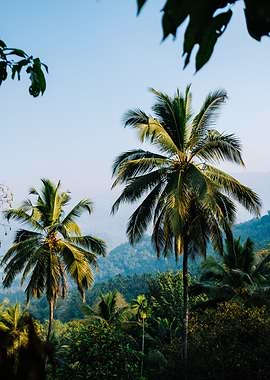 Tropic landscape photo