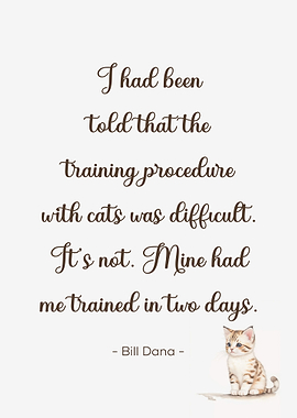 Cat Quotes