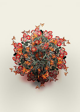 Cosmos Flower Wreath