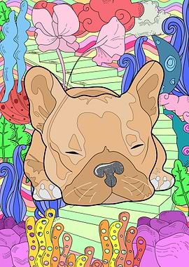 Dreaming French Bulldogs