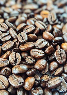 Coffee Beans