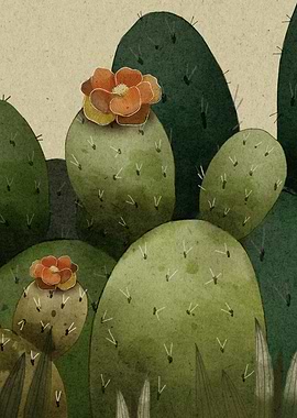 Moody Cacti