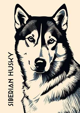 Siberian Husky