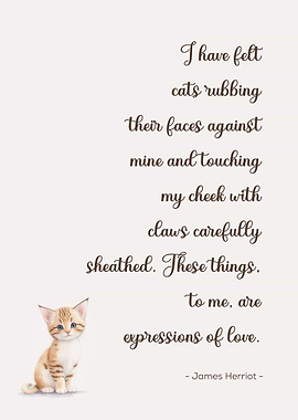 Cat Quote