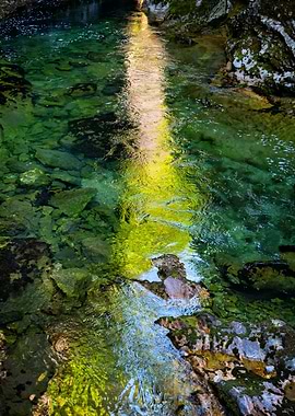 Narrow Sunlight In River