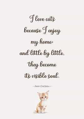 Cat Quotes