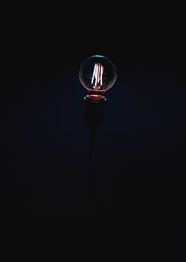 Black Light Bulb