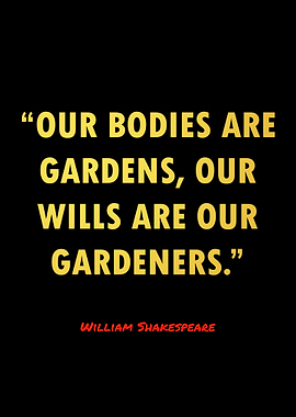 Gym Motivation Quotes