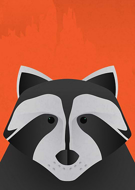 Raccoon Portrait