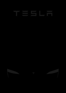 tesla minimalist