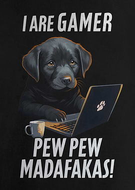 Funn Dog Pew Pew Madafakas