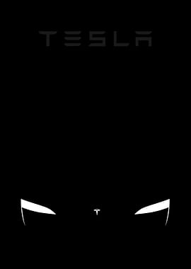 tesla minimalist