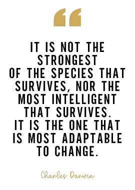 Jordan Peterson Quotes