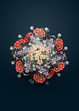 Piotta Oxalis Wreath