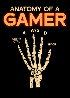 Anatomy Of A Gamer