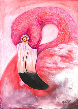 Flamingo