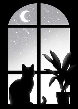 Cat window Kitty nightmoon