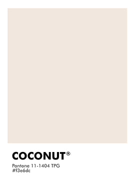 PANTONE COCONUT