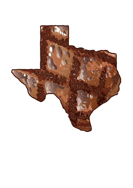 Texas beef meat in white