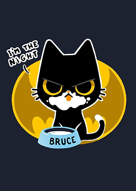 I am the night hero cat