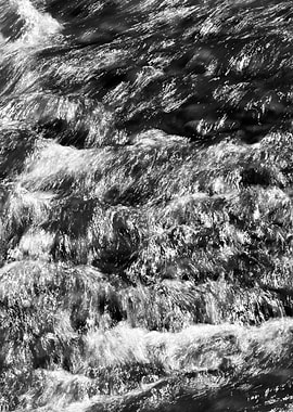 Nature Black and White