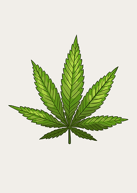 Cannabis THC Marijuana