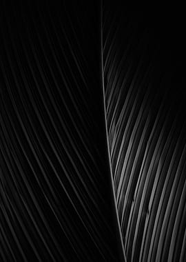 Palm Lines Texture Pattern