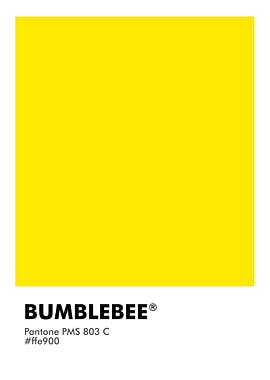 PANTONE BUMBLEBEE