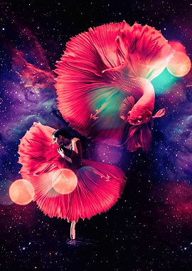 Dancer and red betta fish