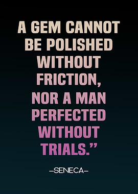 perfection seneca quote