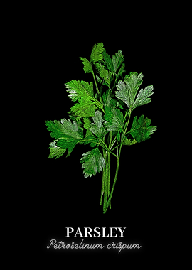Parsley