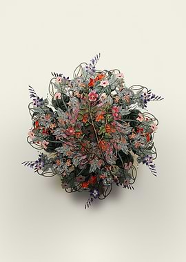 Cape African Queen Wreath