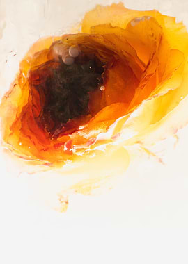 Yellow red rose in ice 1