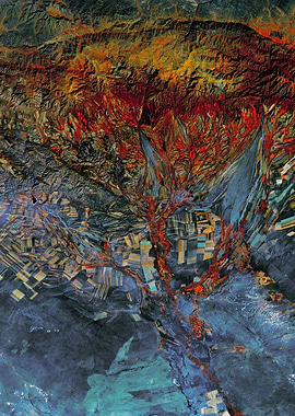 Agricultural Landscape