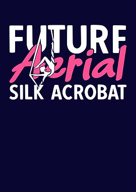 Aerial Silk Acrobat