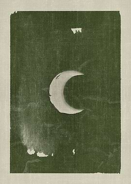 Green Mystical Nights