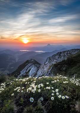 Scenic Mountain Vista