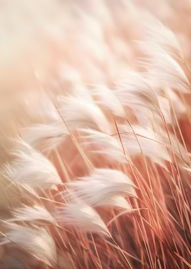 Zephyr Grass