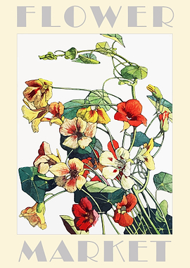 Flower Market Nasturtiums