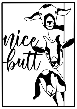 Funny Bathroom Wall Art