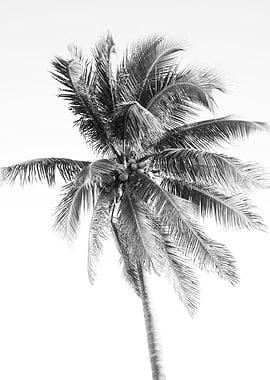 Palm Tree Beach Dream 5