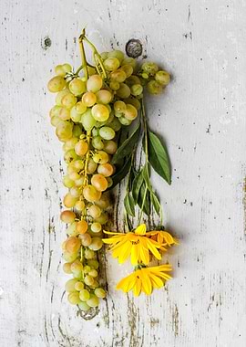 Green Grapes and Daisies