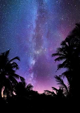 Night paradise beach