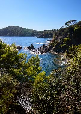 Majestic Coastal Beauty