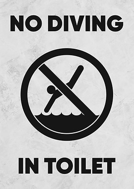 no diving in toilet
