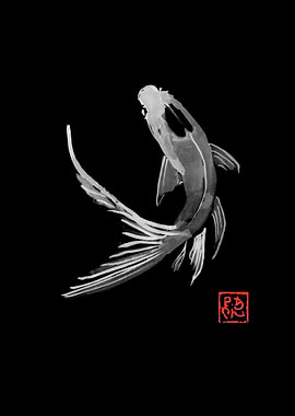 carp koi in black